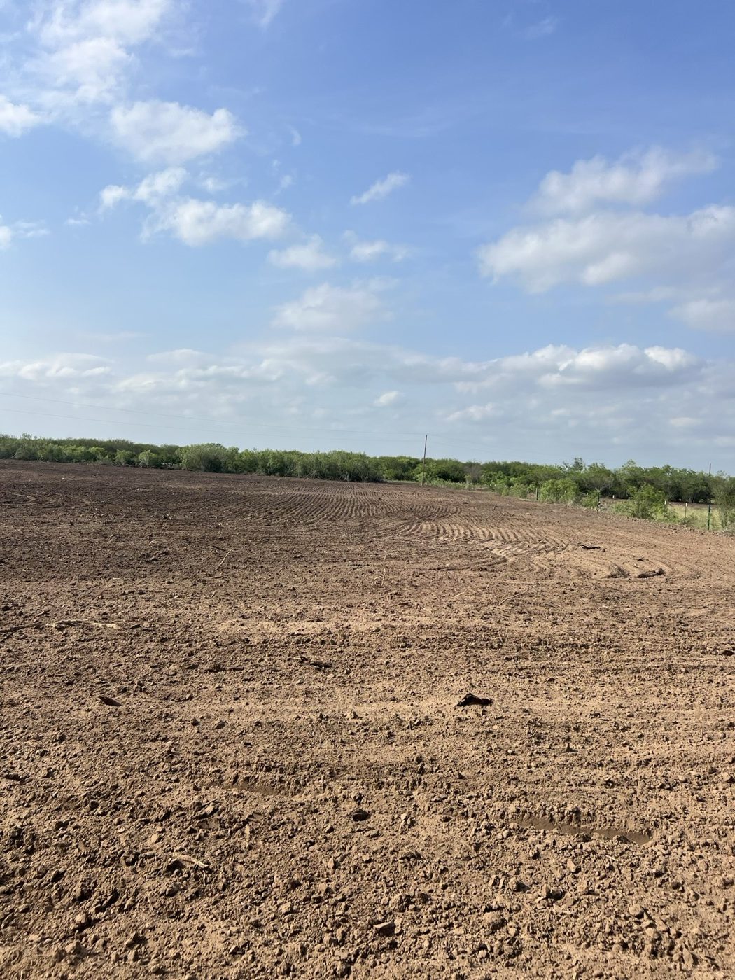 Freshly cleared and raked ground with the brush line pushed back